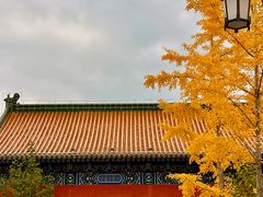 -金城公园