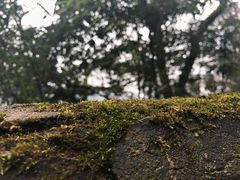 -綦江古剑山