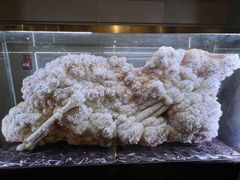 -湖南省地质博物馆