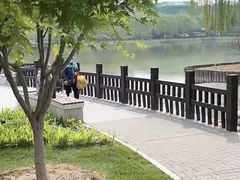 -西海子公园