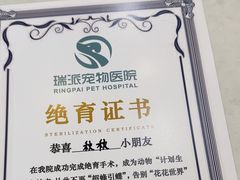 -瑞派紫金宠物医院24小时·骨科·中兽医·重症转诊中心(番禺大石院)