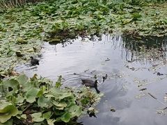 -前关湿地公园