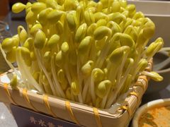 井水黄豆芽-巴奴毛肚火锅(商城路店)