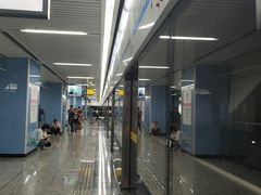 -大龙山(地铁站)