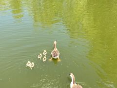 -沈阳鸟岛