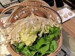 -同仁四季椰子鸡(海岸城天利店)