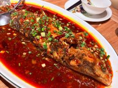 -院8里·小聚园老川菜(九眼桥店)