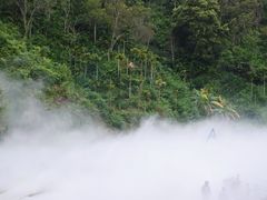 -海南热带雨林国家公园吊罗山景区