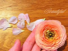 -满兴咱妈烀饼铁锅炖(兰州北街店)