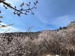 -妙峰山风景名胜区