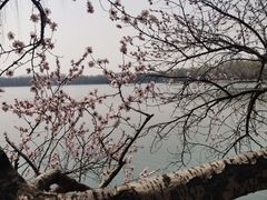 -颐和园