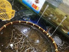 水产区-东江海鲜酒家(艺都分店)