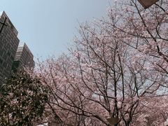 -古徽州馄饨店(宝安路店)