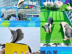 -海合安天津极地海洋公园