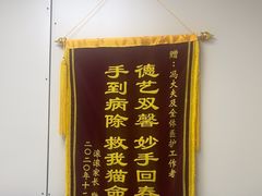 -中农国际动物医院24小时·猫科·骨科·急重症中心