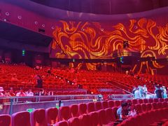 -水秀国际大剧院