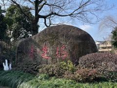 -杭州植物园
