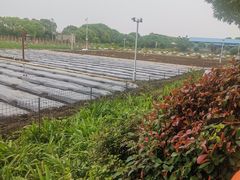 -上膳源有机农场