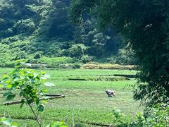 -清远鱼水旅游风景度假区