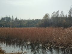 -成吉思汗公园