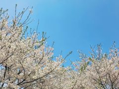 -共青国家森林公园-售票处