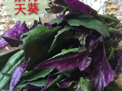 iphone_upload_pic-慢丽江·云南野生菌土鸡锅(付家庄店)