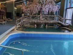 -长白山聚龙火山温泉