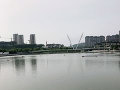-映月湖中央公园