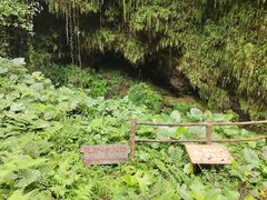 -海口火山口国家地质公园