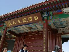 -白洋淀景区