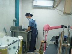 -乐琪宠物医院·犬猫专科·骨外科·急重症