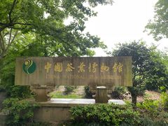 -中国茶叶博物馆(双峰馆区)