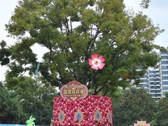 -七彩云南欢乐世界