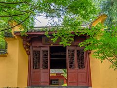 -天目山大树王景区