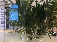 -LANN I 蘭·泰式古法按摩(高岛屋百货店)