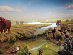 -陕西自然博物馆