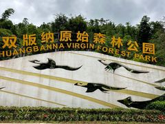 -西双版纳原始森林公园