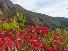 -玉渡山自然风景区
