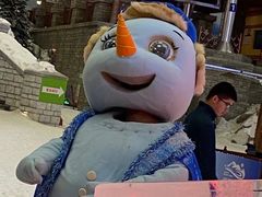 -长沙湘江冰雪世界