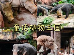 -长鹿旅游休博园