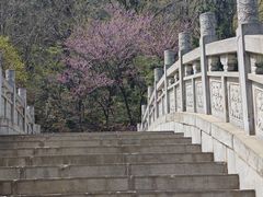 -终南山古楼观历史文化景区
