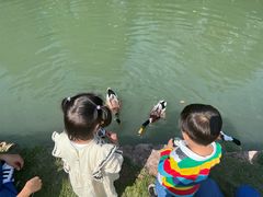 -乌村