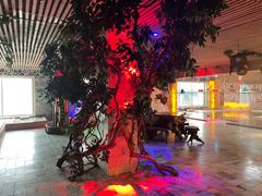 -赛纳河休闲商务会馆(天宁寺店)