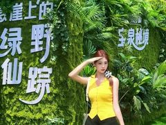 -河南宝泉旅游区