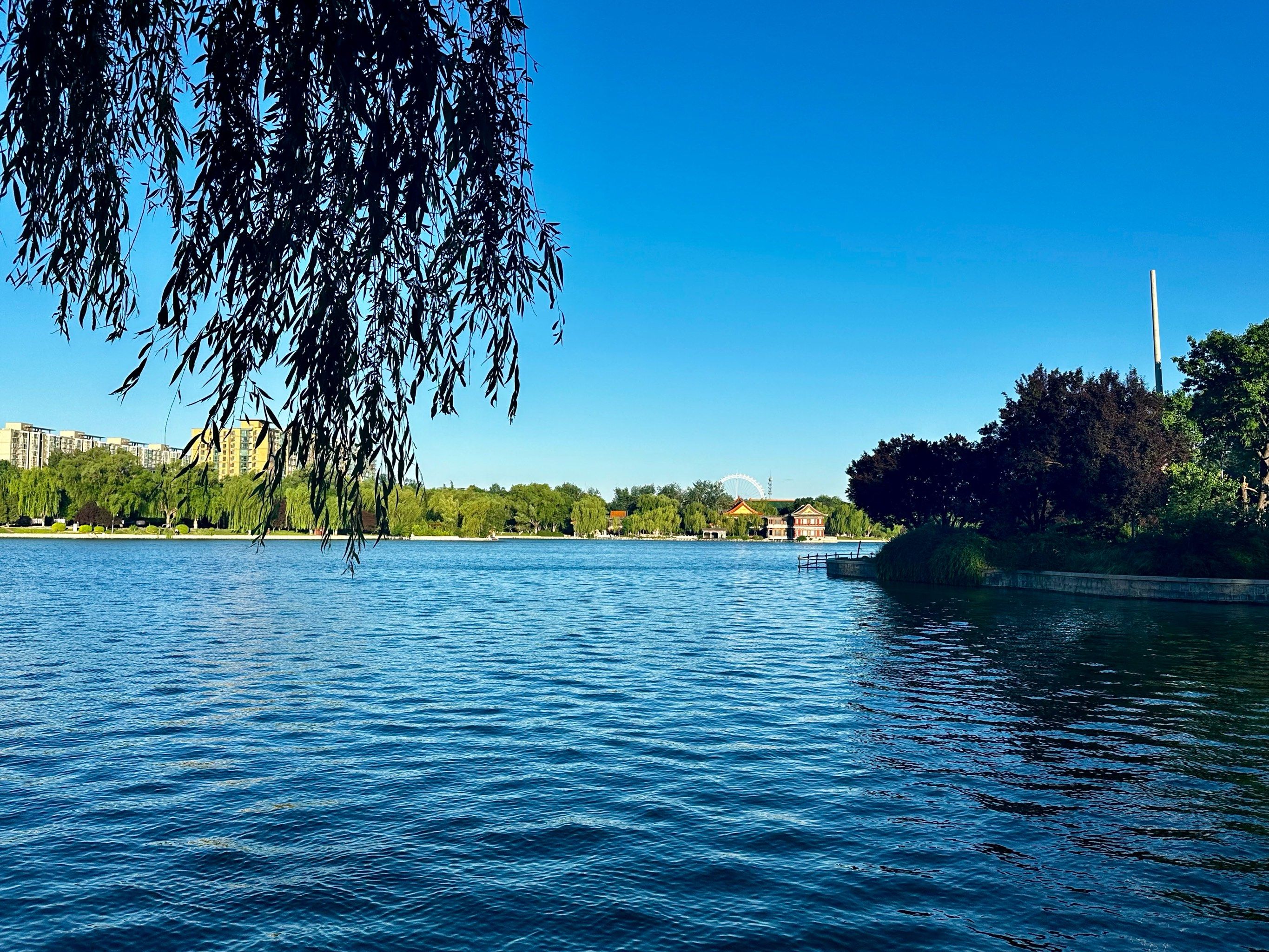 湖边漫步的悠闲时