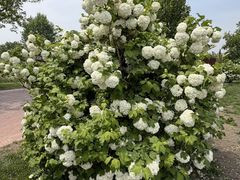-圣露庄园·露营·烤肉·亲子