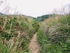 -霍顿平原国家公园