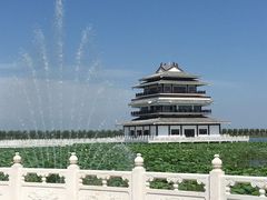 -呼兰河口湿地公园