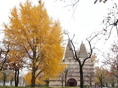 -玲珑塔公园