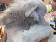 -FAELING PETS美天灵宠物(富力广场店)
